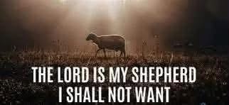 Graphic of a sheep in a sunlit field with the words The Lord Is My Shepherd I Shall Not Want